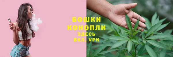 сатива Алзамай