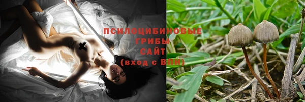 сатива Алзамай